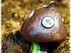 Small_steampunk_shroom_3769
