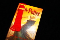 Gryffindor Bookscarf