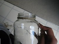 Step 5