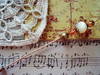 Small_dsc03919