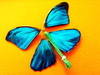 Small_dsc03921