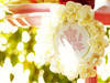 Small_blog6