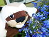 Small_100_0136