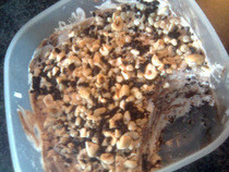Ice Cream Cake 