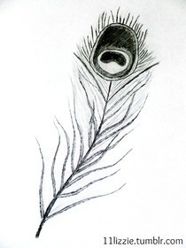 How To Draw A Peacock Feather