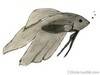 Small_fish_drawing_with_name