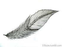 Wanna Draw  A Feather?
