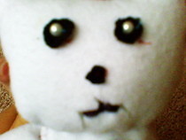 Love, The Ghost Cat