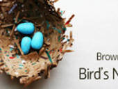 Medium_brown-bag-bird_s-nest