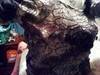 Small_380651_378722615516076_1263191194_n