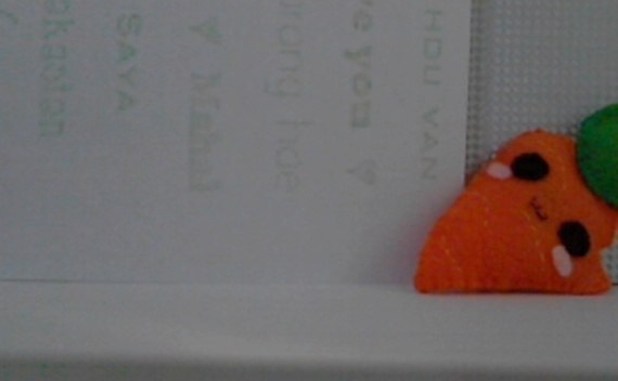 Carrot Plushie