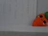 Small_picture_71