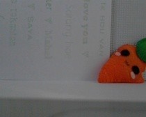 Carrot Plushie