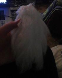 Fox Tail...Out Of Yarn?