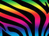 Small_rainbow_zebra_print