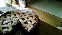 Blueberry Pie