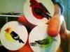 Small_birds
