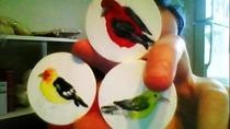 Birds!