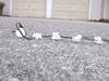 Small_2012_0108newcam40272