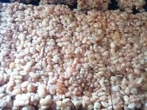Marshmallow Crispy Squares