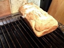 Bread