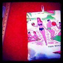 I Pad Sleeve