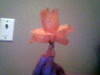 Small_2012_07_16_21_47_29_310