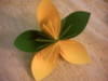 Small_pict0242