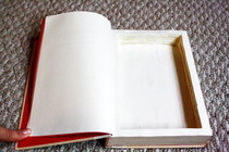 Hollow Book