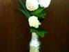 Small_img_0085