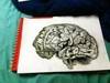 Small_brain