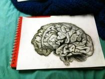 Brain