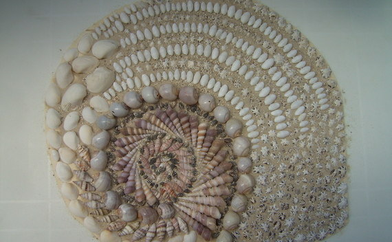 Snail Shell