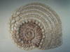 Small_pict2084