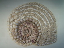 Snail Shell