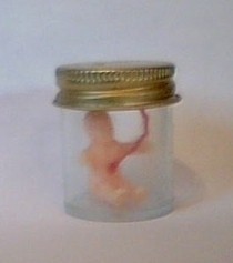 Baby In A Jar