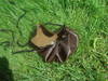 Small_dsc01349