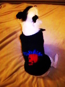 Mohawk Skull Doggie Sweater