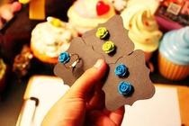 Homemade Rose Earrings & Ring:]