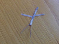 Step 3