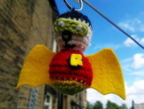 Robin The Bat Wonder