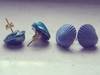 Small_dscf2853