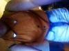 Small_2012-08-07_19.32.58