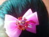 Small_iamjhoyce2552