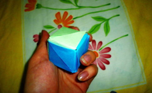 Magic Rose Cube