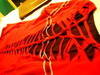 Small_dscn5745