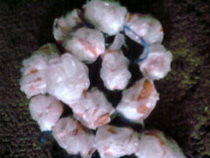 Plastic Bag Beads