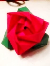 Magic Rose Cube