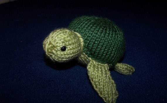 The Turtle