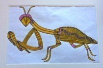 Pencil Praying Mantis Drawing